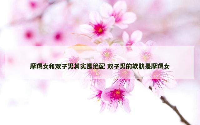 摩羯女和双子男其实是绝配 双子男的软肋是摩羯女