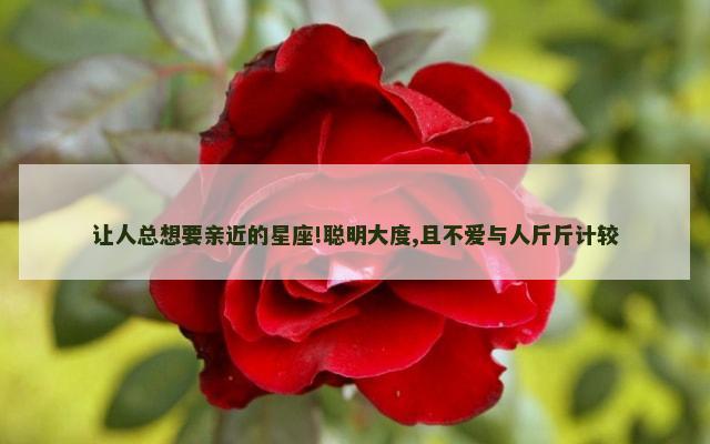 让人总想要亲近的星座!聪明大度,且不爱与人斤斤计较