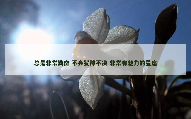 总是非常勤奋 不会犹豫不决 非常有魅力的星座