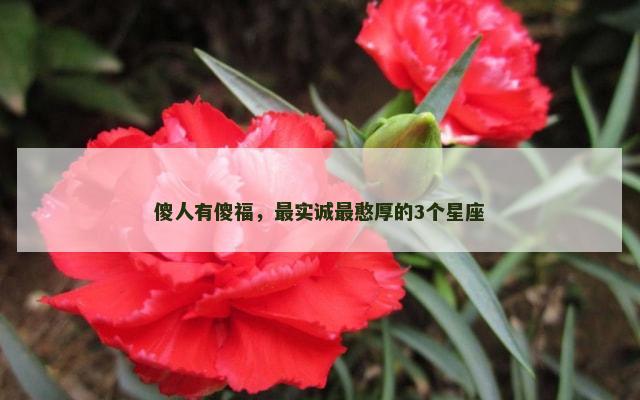 傻人有傻福，最实诚最憨厚的3个星座