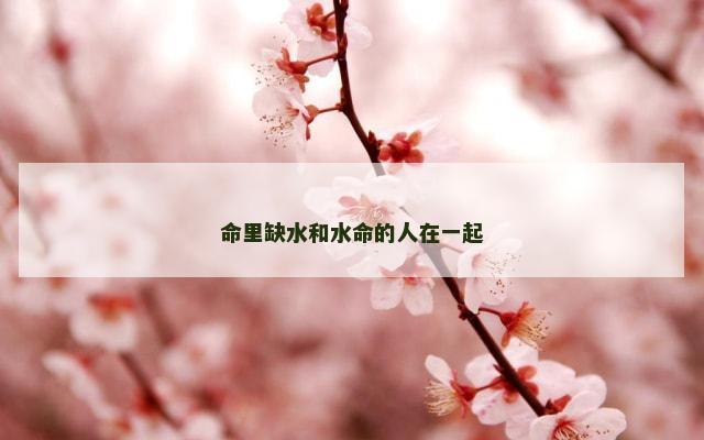 命里缺水和水命的人在一起