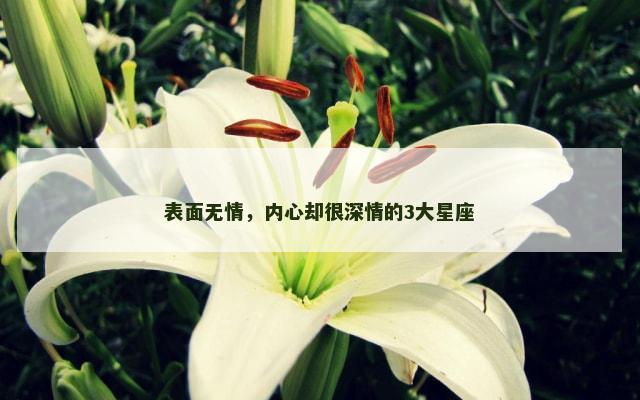 表面无情，内心却很深情的3大星座