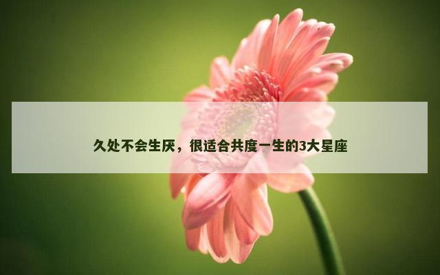 久处不会生厌，很适合共度一生的3大星座