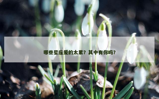 哪些星座爱的太累？其中有你吗？
