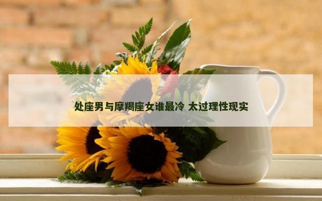 处座男与摩羯座女谁最冷 太过理性现实
