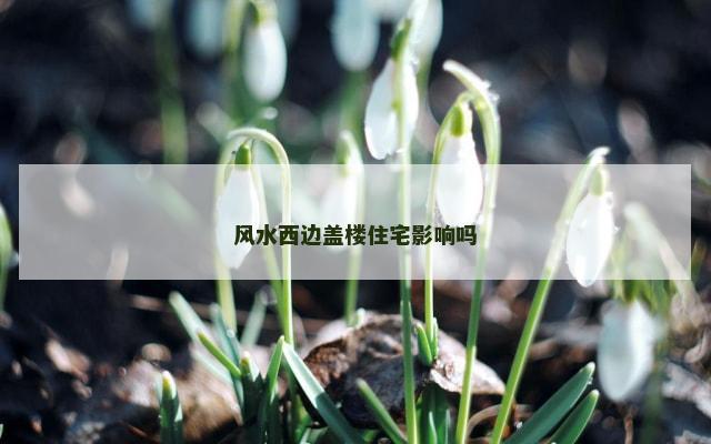 风水西边盖楼住宅影响吗