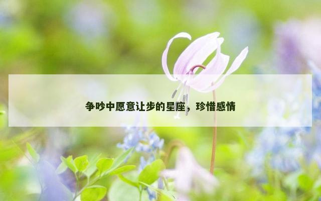 争吵中愿意让步的星座，珍惜感情