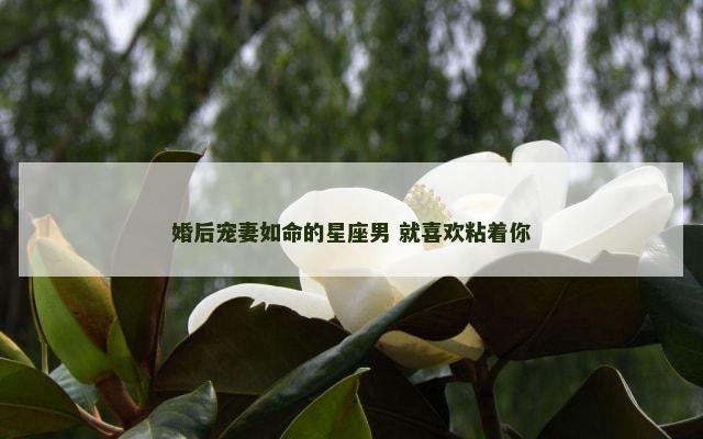 婚后宠妻如命的星座男 就喜欢粘着你