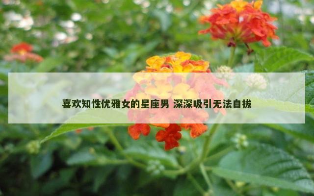 喜欢知性优雅女的星座男 深深吸引无法自拔