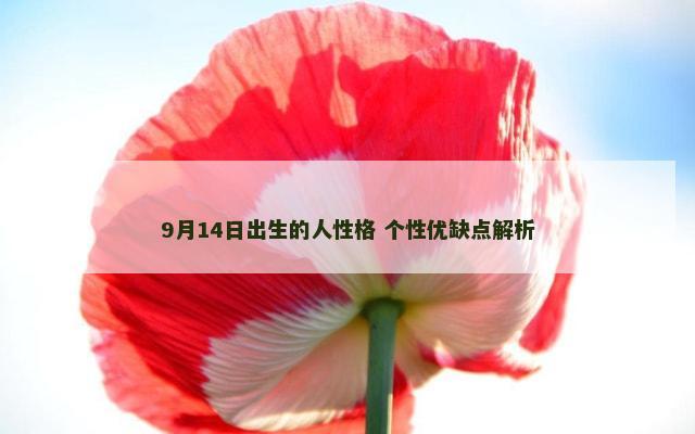 9月14日出生的人性格 个性优缺点解析