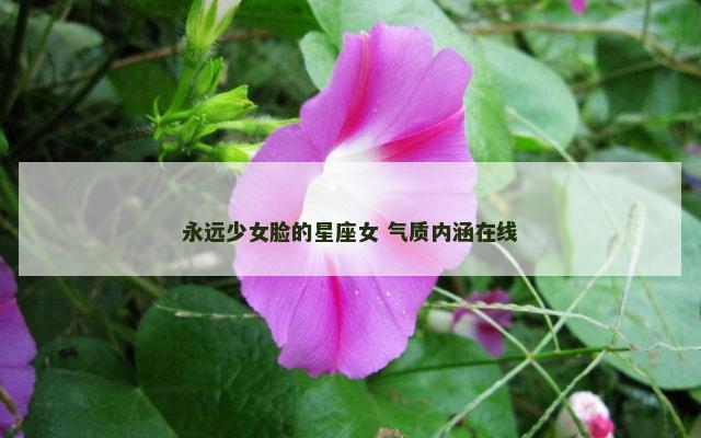 永远少女脸的星座女 气质内涵在线