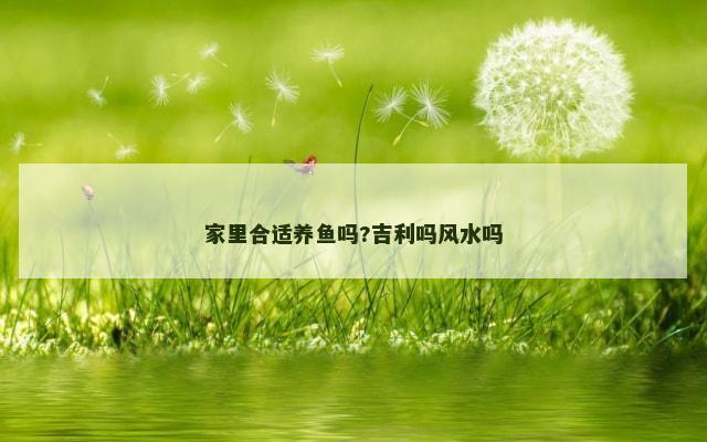 家里合适养鱼吗?吉利吗风水吗