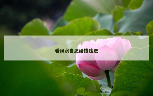 看风水自愿给钱违法