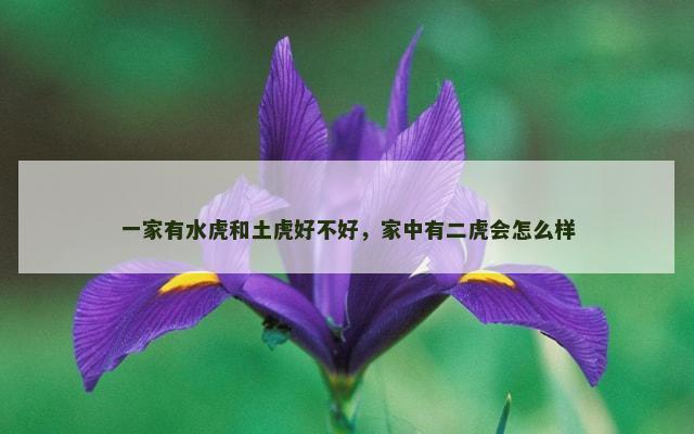 一家有水虎和土虎好不好，家中有二虎会怎么样