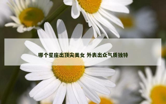 哪个星座出顶尖美女 外表出众气质独特