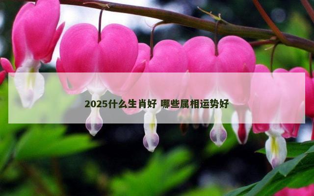 2025什么生肖好 哪些属相运势好