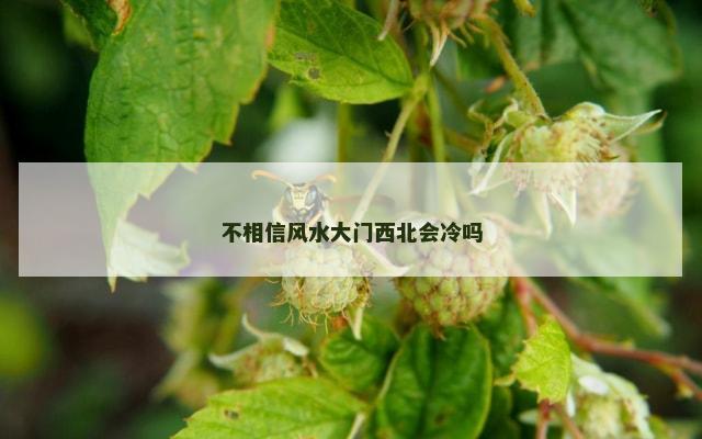 不相信风水大门西北会冷吗