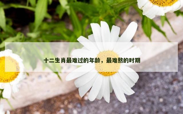 十二生肖最难过的年龄，最难熬的时期