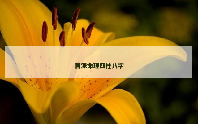 盲派命理四柱八字