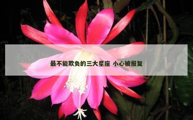 最不能欺负的三大星座 小心被报复