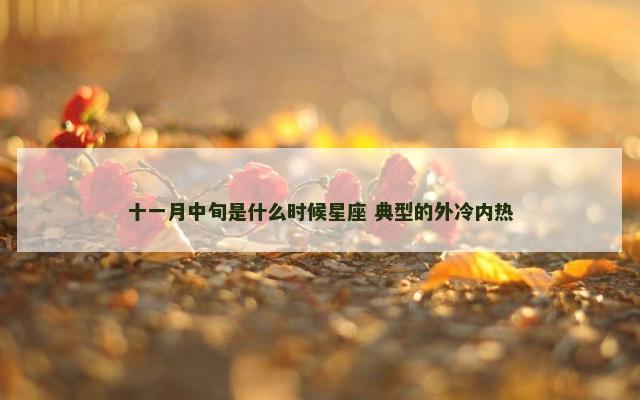 十一月中旬是什么时候星座 典型的外冷内热