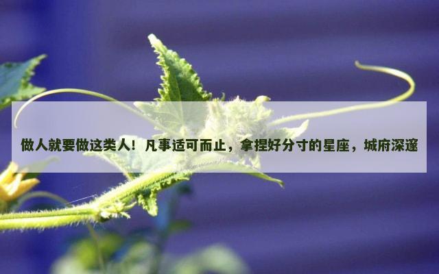 做人就要做这类人！凡事适可而止，拿捏好分寸的星座，城府深邃