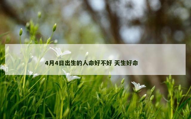 4月4日出生的人命好不好 天生好命 　　