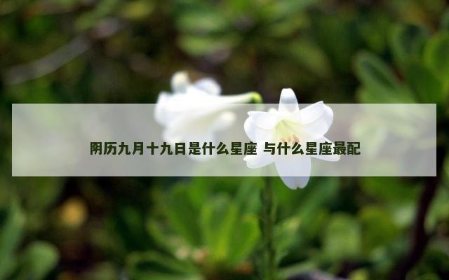 阴历九月十九日是什么星座 与什么星座最配
