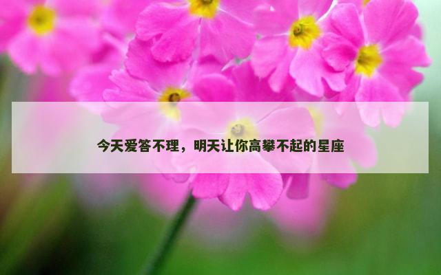 今天爱答不理，明天让你高攀不起的星座
