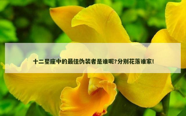 十二星座中的最佳伪装者是谁呢?分别花落谁家!