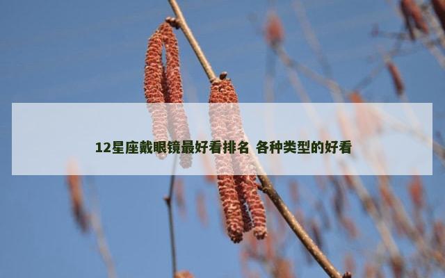 12星座戴眼镜最好看排名 各种类型的好看