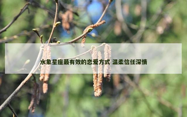 水象星座最有效的恋爱方式 温柔信任深情