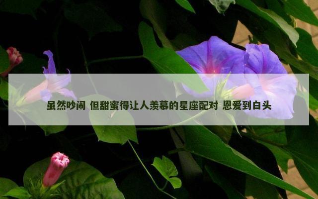 虽然吵闹 但甜蜜得让人羡慕的星座配对 恩爱到白头