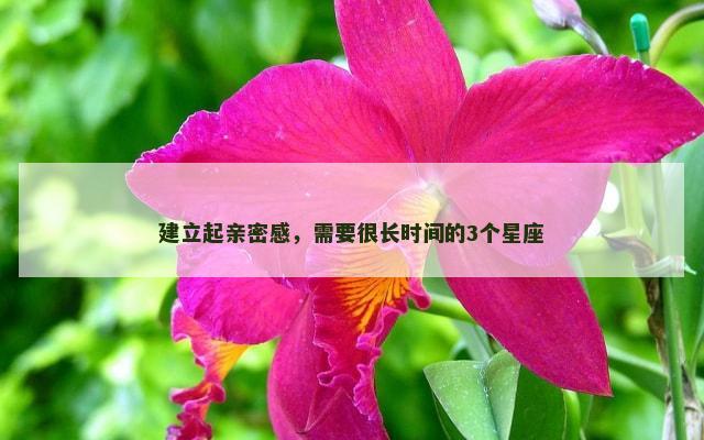 建立起亲密感，需要很长时间的3个星座