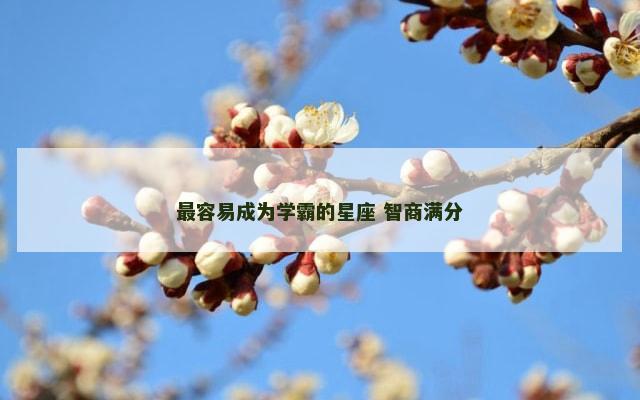 最容易成为学霸的星座 智商满分