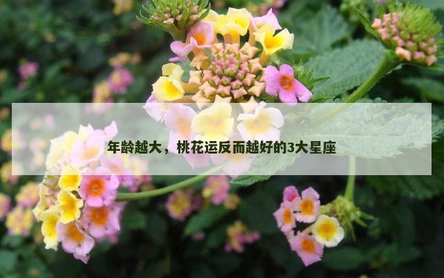 年龄越大，桃花运反而越好的3大星座