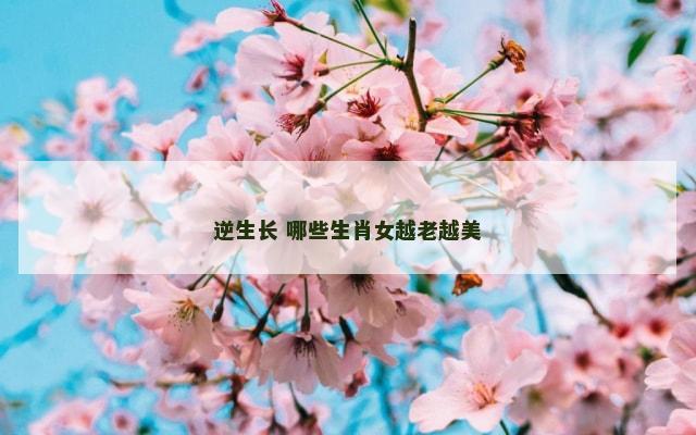 逆生长 哪些生肖女越老越美