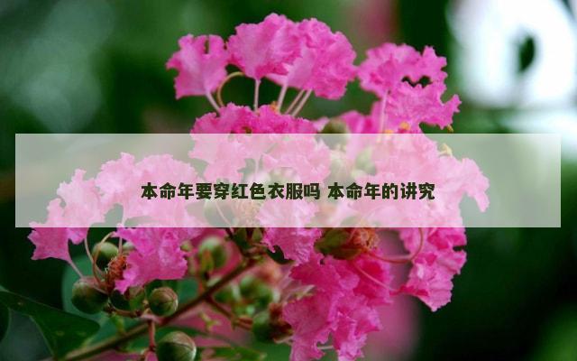 本命年要穿红色衣服吗 本命年的讲究