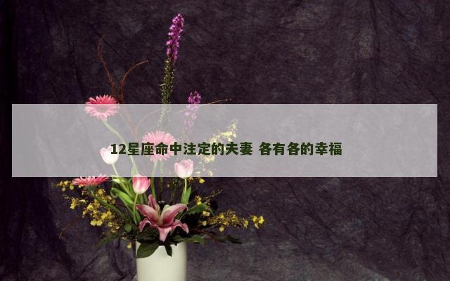 12星座命中注定的夫妻 各有各的幸福