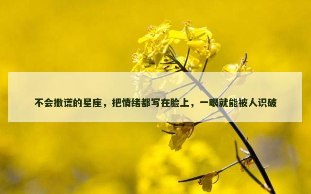 不会撒谎的星座，把情绪都写在脸上，一眼就能被人识破