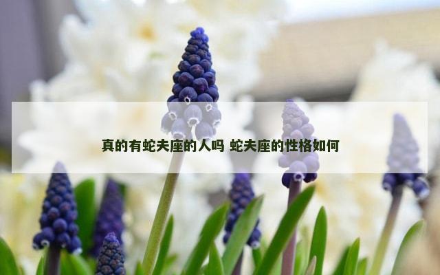 真的有蛇夫座的人吗 蛇夫座的性格如何