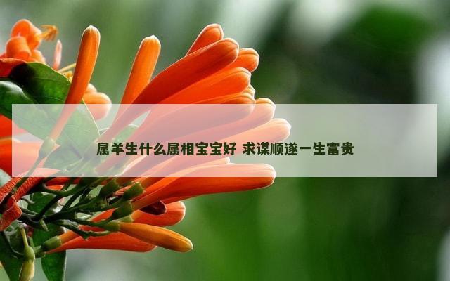 属羊生什么属相宝宝好 求谋顺遂一生富贵