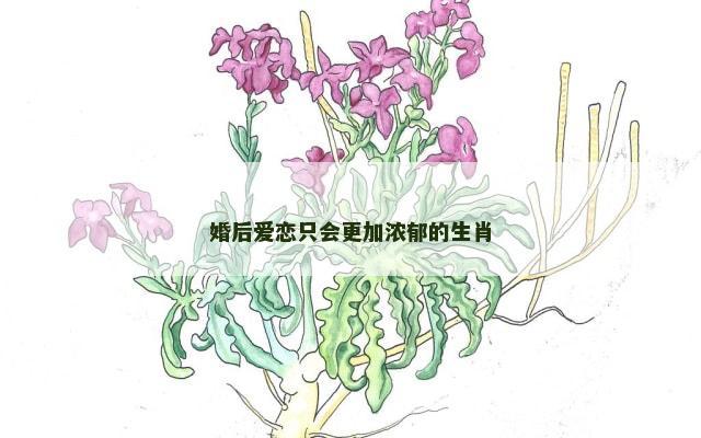 婚后爱恋只会更加浓郁的生肖