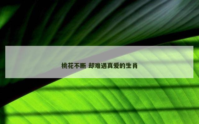 桃花不断 却难遇真爱的生肖