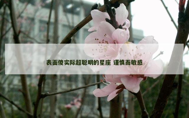 表面傻实际超聪明的星座 谨慎而敏感