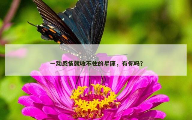 一动感情就收不住的星座，有你吗？