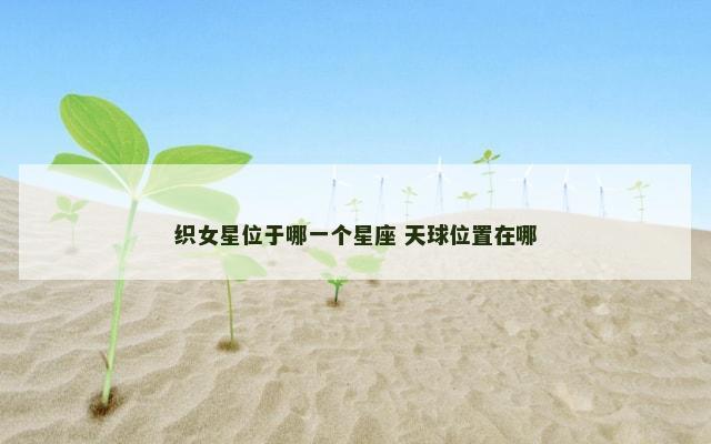 织女星位于哪一个星座 天球位置在哪