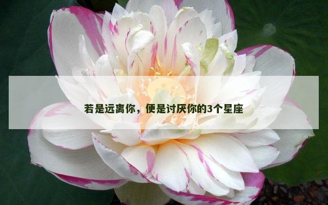 若是远离你，便是讨厌你的3个星座