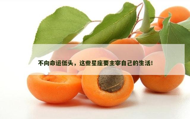 不向命运低头，这些星座要主宰自己的生活！