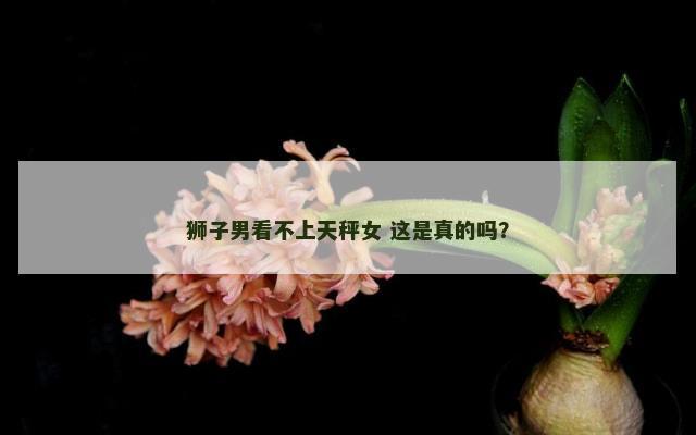 狮子男看不上天秤女 这是真的吗？